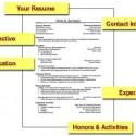 free resume template